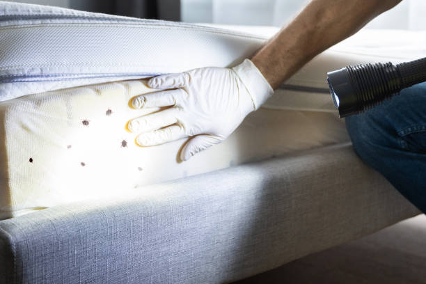 Best Residential Pest Control  in Williamstown, NJ