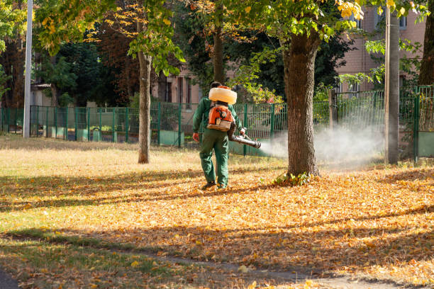 Best Pest Control for Homes  in Williamstown, NJ
