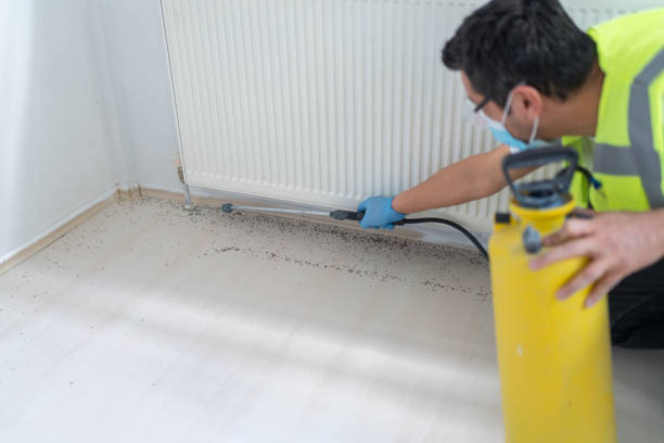 Professional Pest Control in Williamstown, NJ